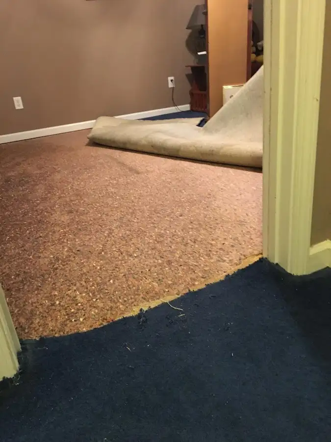 Carpet pad removal revealing water damage during Water Mitigation Services in Roanoke