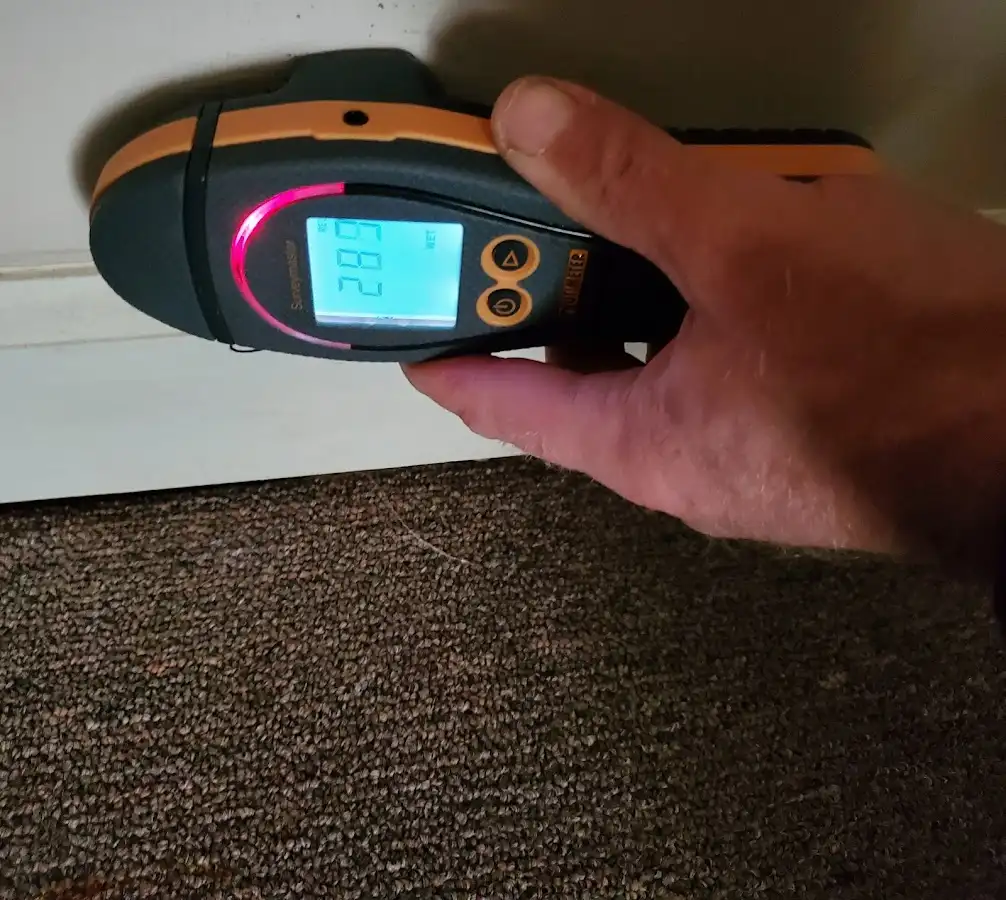 Moisture detection at baseboard during Burst Pipe Cleanup in Roanoke