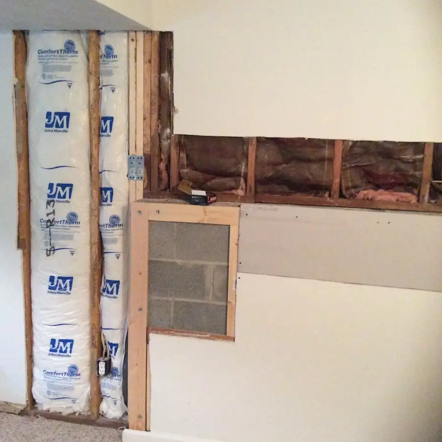 Wall insulation replacement during Basement Flood Cleanup in Roanoke